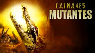 CAIMANES MUTANTES / MUSIC VIDEO