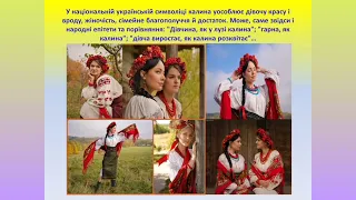 "Квіти символи України"