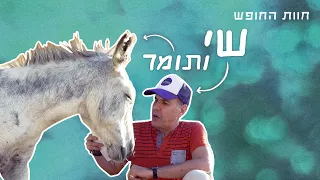 חוות החופש 🐄 | שי ותומר