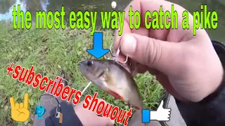THE MOST EASY WAY TO CATCH THE PIKE / catch pike on live bait