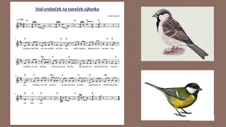 Vrabec a sýkorka (MŠ písně) - ZIMA, ptáci, tanec