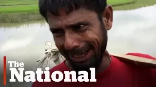 Rohingya Muslims fleeing Myanmar describe military's violence and killings