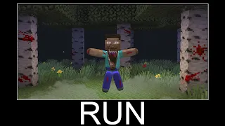 Scary Corrupt Steve in Minecraft wait what meme part 231