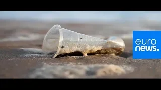 2018 Review: Single-use plastics to be banned in EU