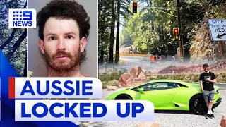 Police allege Aussie ‘forgot’ to drive on right side of road in fatal US crash | 9 News Australia