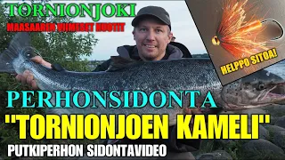 PERHONSIDONTA - TORNIONJOEN KAMELI PUTKIPERHO + MAASAAREN VIIMEISET NUOTIT ( Perhonsidonta - ohje )