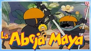 La abeja Maya - episodio 40 - maya y la arana tecla - capitulos completos en español latino