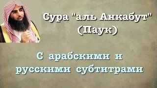 Сура 29 - аль Анкабут (арабские и русские титры) Мухаммад Люхайдан