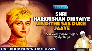 SHRI HARKRISHAN DHIYAIYE JIS DITHE SAB DUKH JAAYE | ONE HOUR NON - STOP SIMRAN | Rinku Veerji