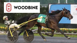 2019 Graduate Series Trot: Woodbine, Mohawk Park, June 1, 2019 - Race 5