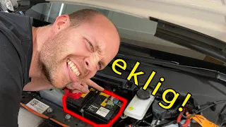 Ekelhaft vergammelte Tesla 12 Volt Batterie 🤢