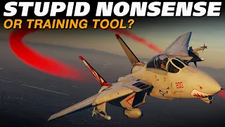 STUPID NONSENSE Or Useful Training Tool? | DCS F-14B Tomcat Dogfighting!