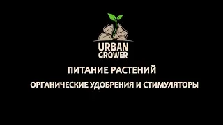 УРБАН ГРОВЕР УРОК 20 - ПИТАНИЕ РАСТЕНИЙ - ОРГАНИЧЕСКИЕ УДОБРЕНИЯ И СТИМУЛЯТОРЫ