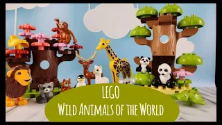 LEGO WILD ANIMAL REVIEW☑️ |🔝Detailed tutorial | LEGO WILDLIFE ANIMALS OF THE WORLD🔥Toys for children