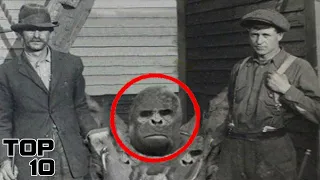 Top 10 Concerning Bigfoot Evidence The Government Is Hiding From Us