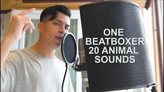 One Beatboxer, 20 Animal Sounds