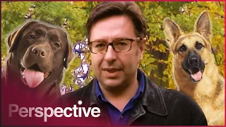 Waldemar Meets The World's Biggest Dog And Journeys Into Canine History | Puppy Love | Perspective