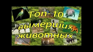 Топ - 10 - Вымершие животные, которых мы больше никогда не увидим