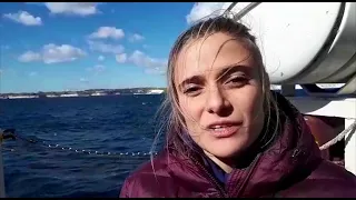 Sea Watch, la portavoce: "I migranti resistono e chiedono di essere ripartiti tra gli Stati europei"