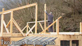 Construction of the second floor. Rooms for pheasants are ready