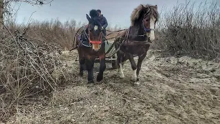 ПАРА, ЙОПЕРЕСЕТЕ, ПРОСТО КАПІТАЛЬНА!/ВОЗИМО ШУТЕР/КОНІ В РОБОТІ.