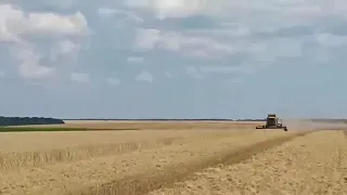 Уборка 2020 Cat lexion 460 !