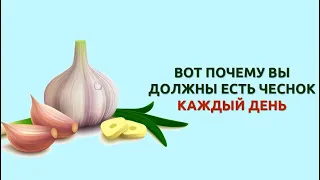 Ешьте чеснок вместе с жирной пищей обязательно - помогает расщеплять жиры / Фролов Ю.А.