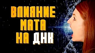 Влияние мата на ДНК человека. Это интересно