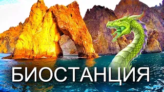 Биостанция. Кара-Даг. Золотые ворота. Курортное.  Карадагский змей.  Капитан Крым