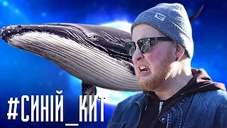 СИНИЙ КИТ - ПУКАН ГОРИТ!