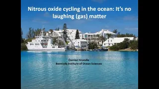Nitrous oxide cycling in the ocean: It's no laughing (gas) matter