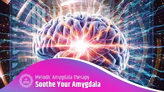 Soothe & Strengthen Your Amygdala: Melodic Amygdala Therapy: Ease Anxiety, Suppress Fear Response