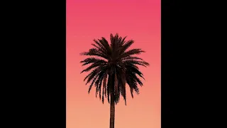 Larry June x Curren$y x Westside Webb Type Beat - "Palm Tree"