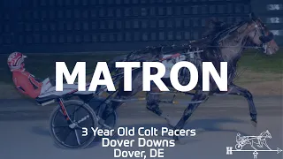 2019 Matron - Bettors Wish - 3YO Colt Pace