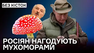 Росіяни будуть їсти мухомори. Дефолт, дефіцит, зубожіння рф. Лукашенко і путін.