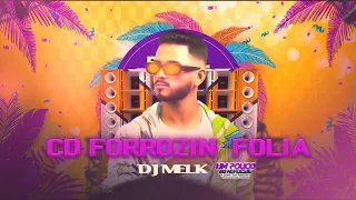 DJ MELK EP FORROZIN FOLIA  CD NOVO ALTA QUALIDADE PRA PAREDÃO