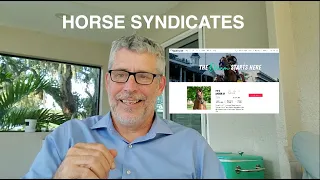 How To Own A Race Horse With Little Money Using MyRaceHorse