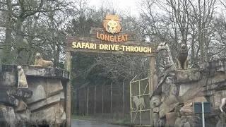 Longleat, March 2024