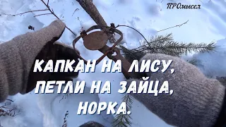 Лисий капкан на подрезку.Петли на зайца.