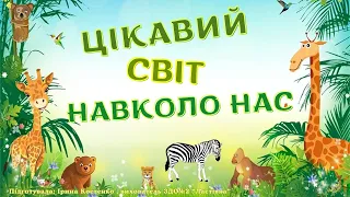 Гра «Цікавий світ навколо нас»