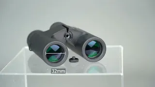 SV40 10x42 Outdoor Binoculars