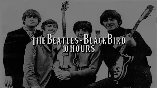 Blackbird by The Beatles for 10 Hours