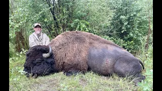 Steve's Bookcliffs archery bison hunt.