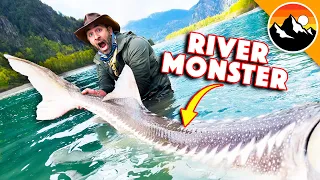 I Caught a 300lb River Monster!