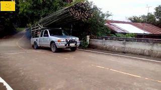 Перевозка бамбука закончилась неудачей