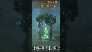 5 ФИШЕК КОТОРЫЕ ТЫ ДОЛЖЕН ЗНАТЬ в Hogwarts Legacy #shorts