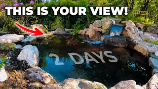 Rebuilding a Tranquility POND & WATERFALL within 2 days! | What should I keep in mind?