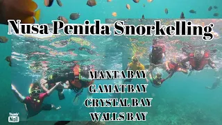 Nusa Penida 2024 Snorkelling 🤿