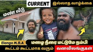 இயற்கையோடு  வாழும் இளங்கோ | இந்த காலத்தில் இப்படி ஒரு வாழ்க்கையா??? மேட்டுப்பாளையம் அருகே