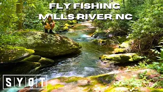 We Had to Call an Audible... | Rooftop Tent Camping & A Day Fly Fishing Streams at Mills River